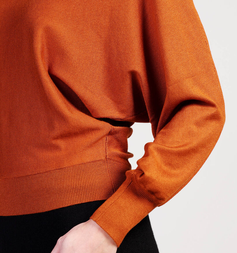 Minus Dana Bruine Trui voor dames (361727)