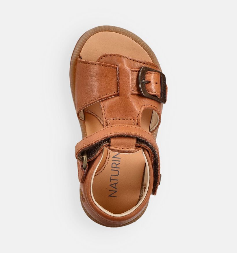 Naturino Quarzo Sandales pour b&eacute;b&eacute; en Camel pour filles, gar&ccedil;ons (371616)
