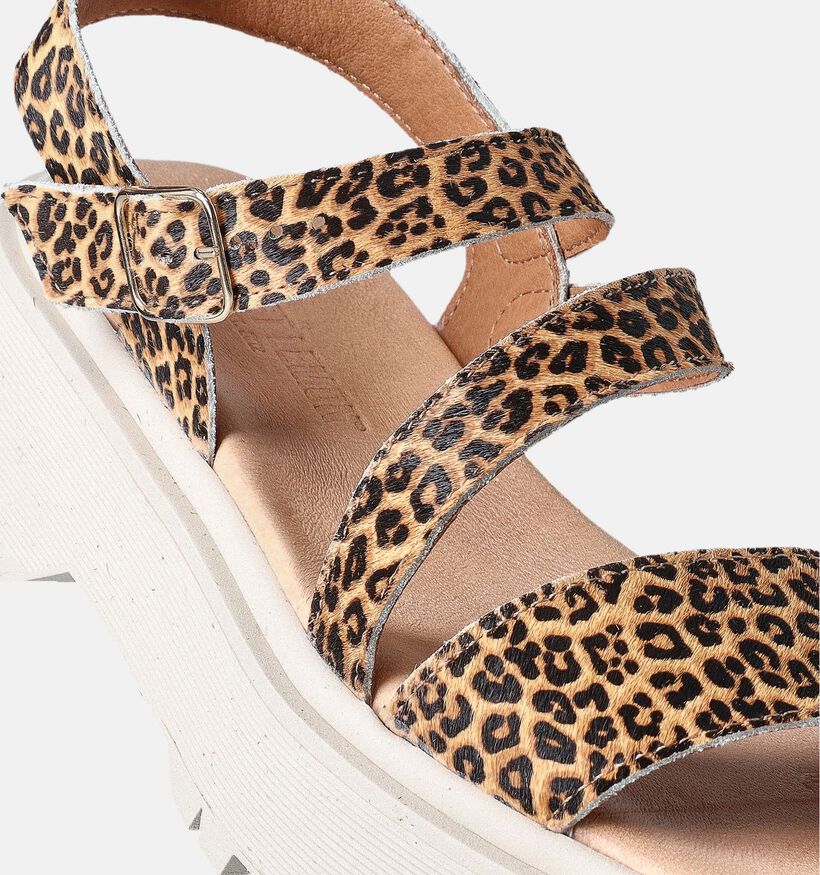 Sweet Lemon L.62.Nacere Sandales en Brun pour femmes (361382)