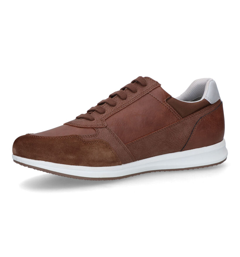 Geox Optek Avery Chaussures à lacets en Marron pour hommes (320090)