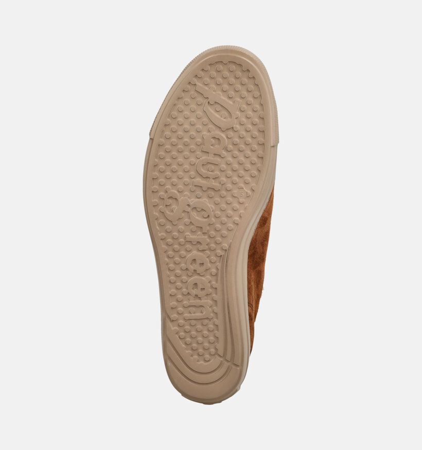 Paul Green Baskets en Marron pour femmes (379785)