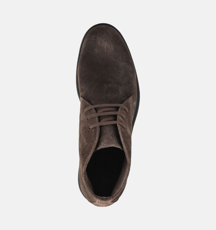 NeroGiardini Chaussures classiques en Brun fonc&eacute; pour hommes (382161)