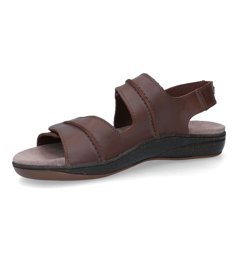 Mephisto Sagun Scratch Sandales en Brun pour hommes (355186)