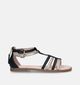 Geox Karly Zwarte Sandalen voor meisjes (337619)