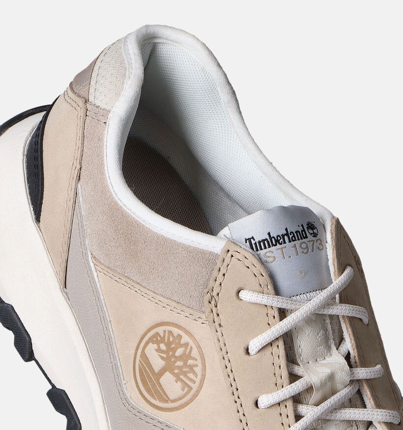 Timberland Winsor Park Chaussures à lacets en Beige pour hommes (352863)
