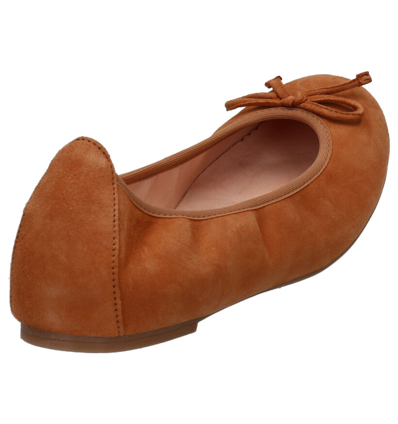 Unisa Ballerines en Cognac en daim (275018)