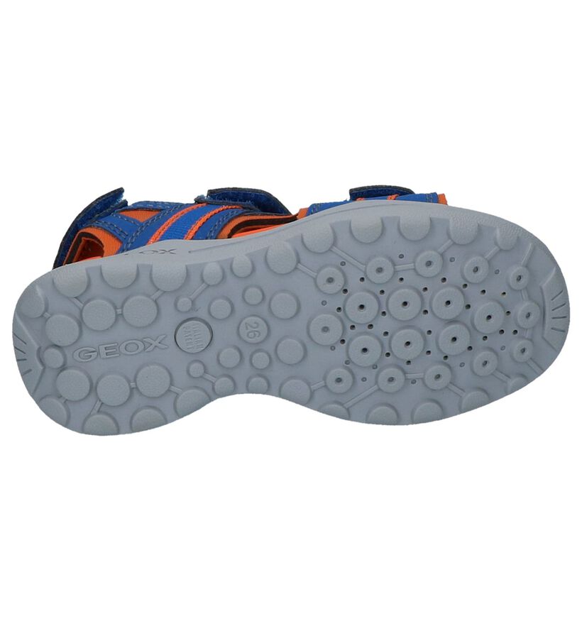 Geox Sandales en Bleu en simili cuir (213170)