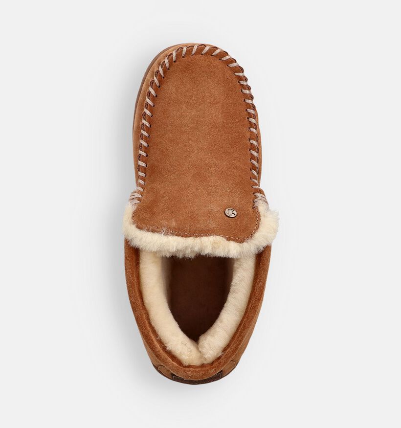 Warmbat Darwino Hoge Bruine Pantoffels voor heren (363341)