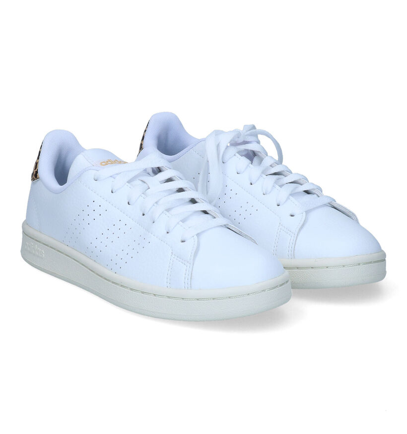 adidas Advantage Baskets en Blanc pour femmes (341435)