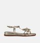 Laurent David Sandales plates en Or pour femmes (373556)