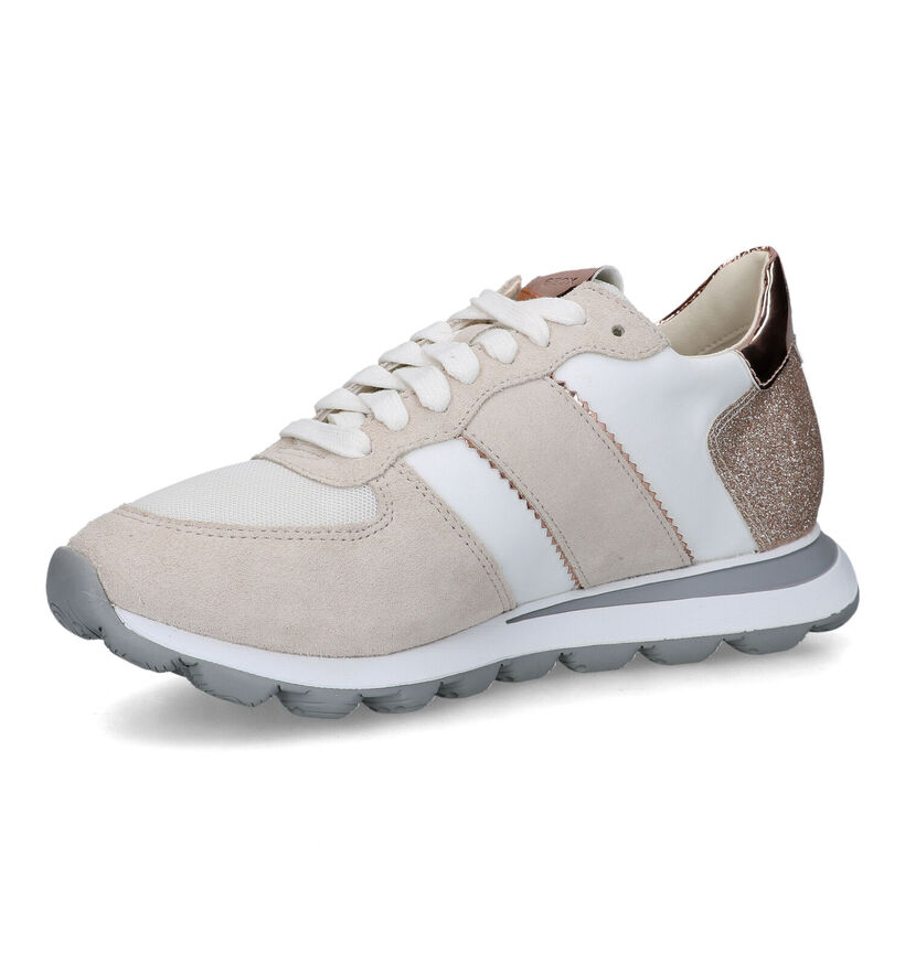 Geox Spherica Vseries Baskets en Gris en daim (326648)