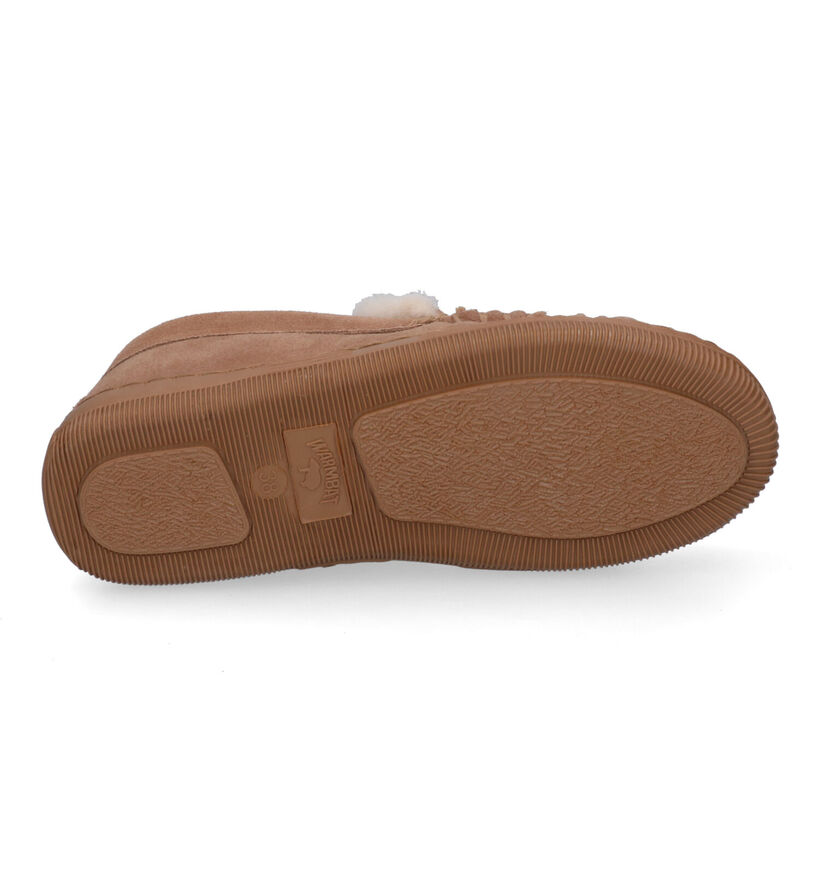 Warmbat Koala Pantoufles en Brun pour femmes (314443)