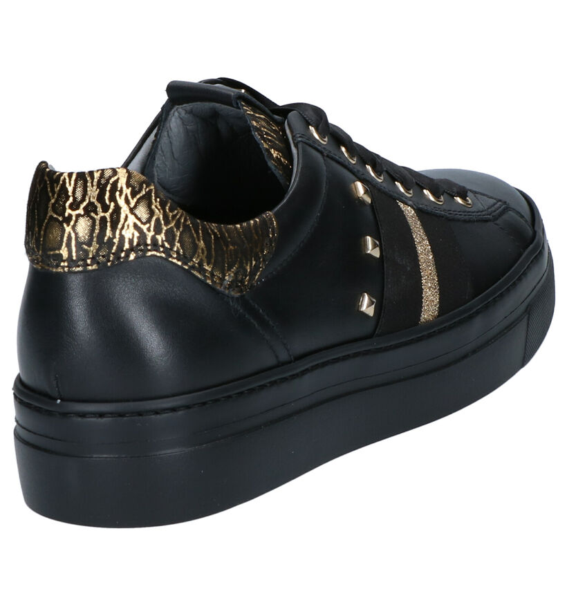 NeroGiardini Chaussures à lacets en Noir en cuir (262503)