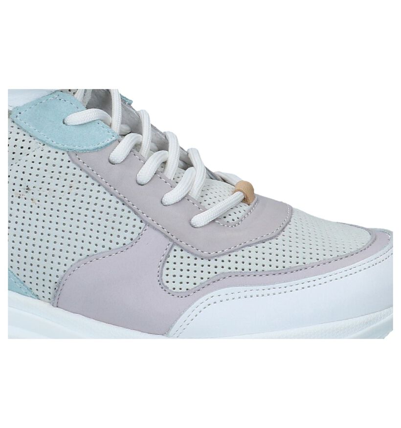 Steve Madden Zova Multicolor Sneakers in daim (236927)