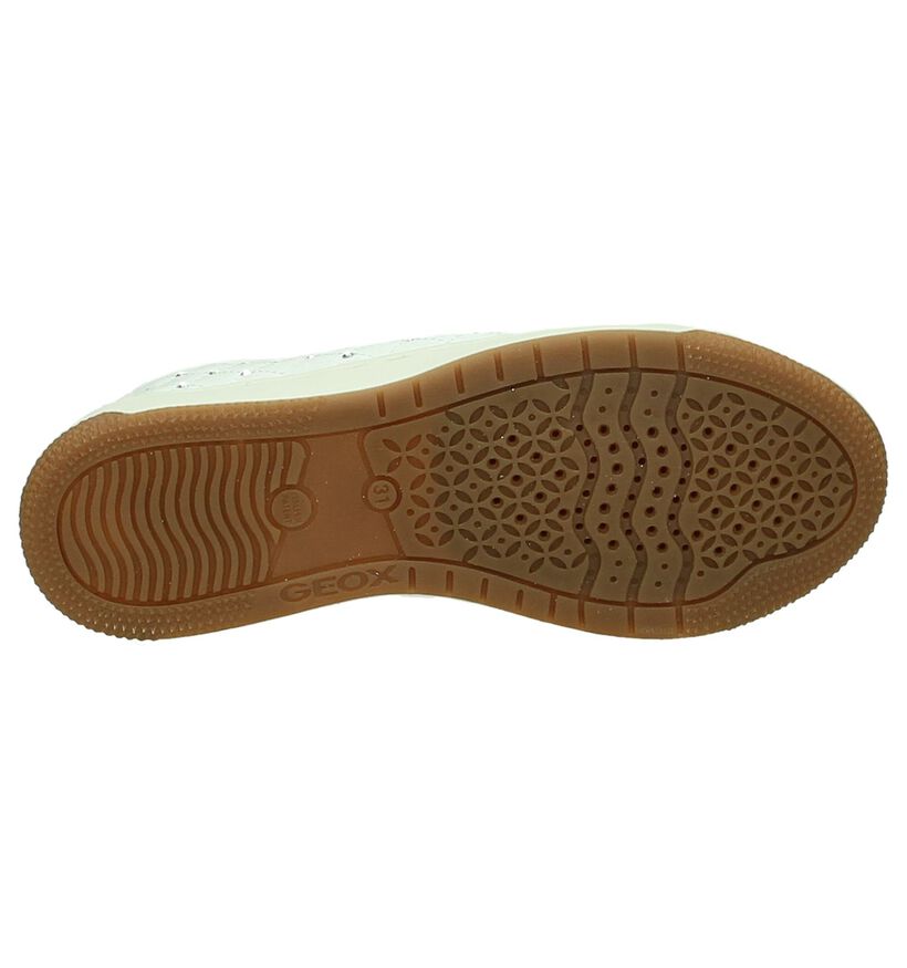 Geox Baskets slip-on en Gris en textile (170552)