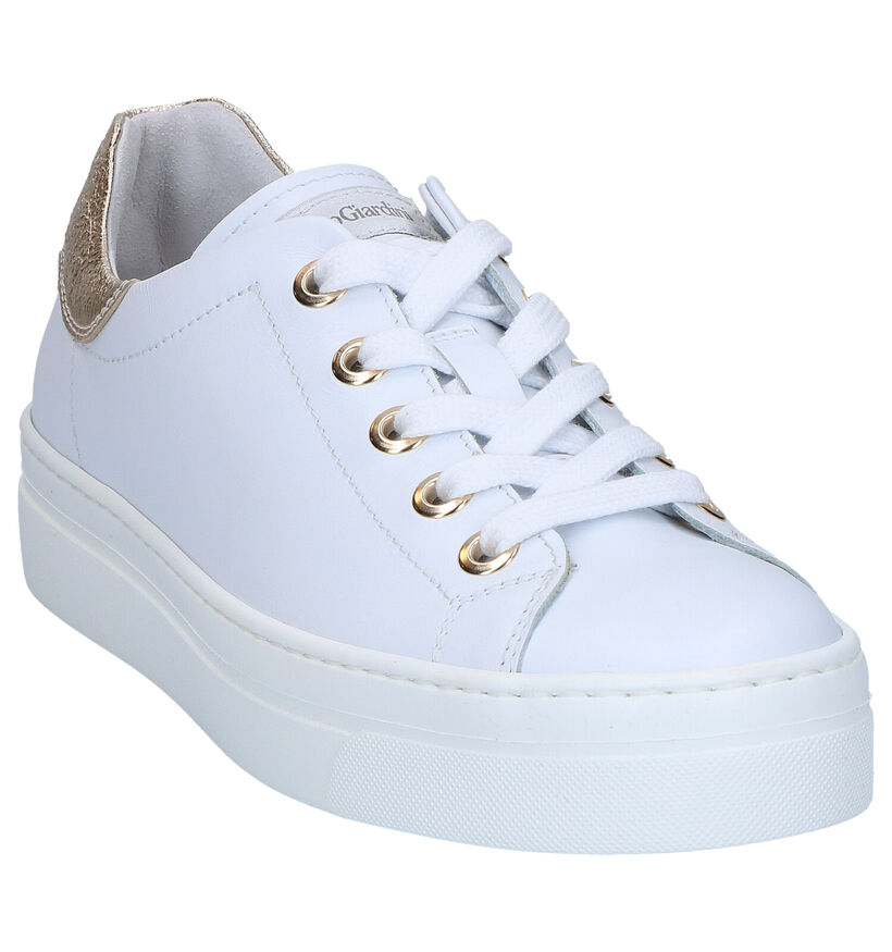 NeroGiardini Chaussures à lacets en Blanc en cuir (267582)