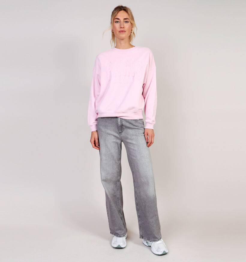 JDY Mesa Paris Roze Sweater voor dames (365962)