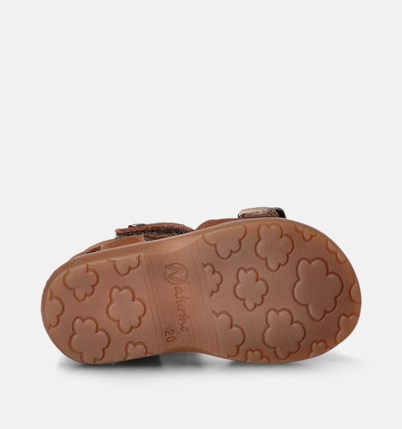 Naturino Quarzo Cognac Sandalen voor meisjes, jongens (356483)