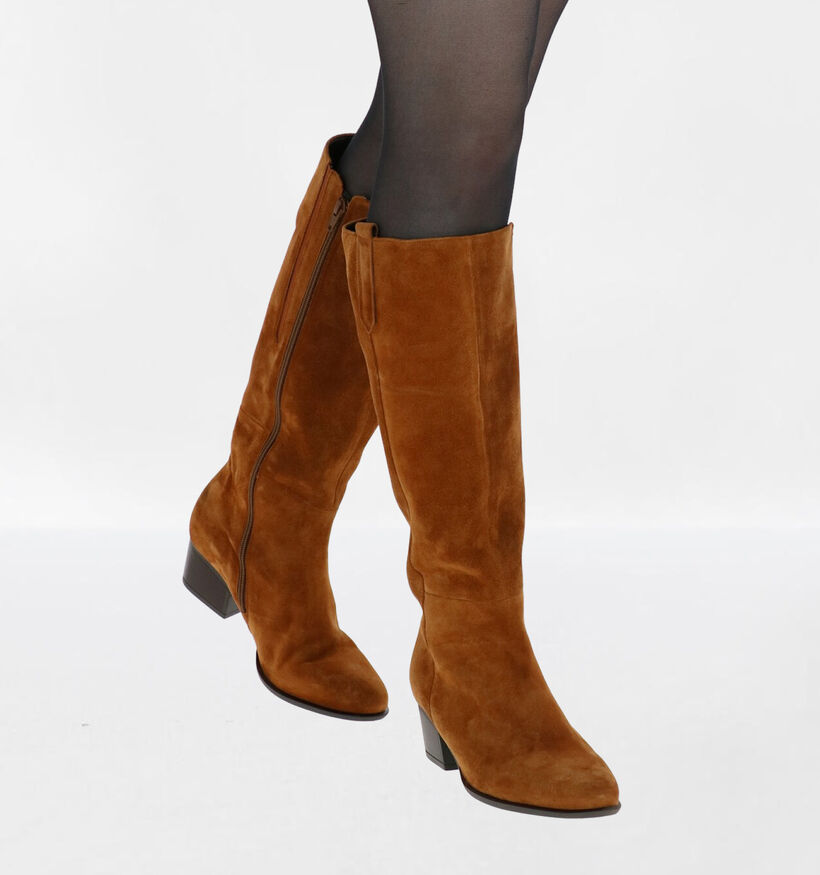 Gabor Bottes hautes en Cognac en daim (291903)
