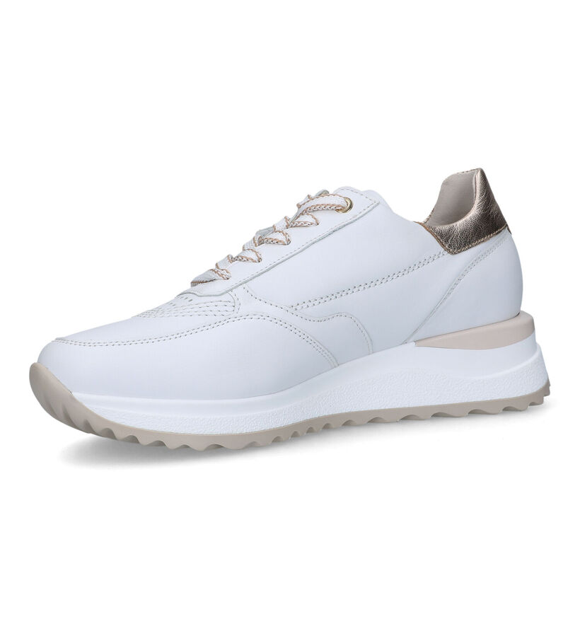 Gabor OptiFit Witte Sneakers voor dames (319478) - geschikt voor steunzolen