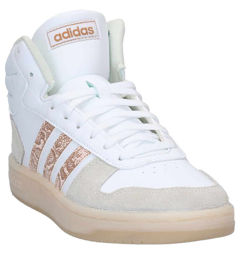 adidas Hoops Baskets en Blanc pour femmes (300158)