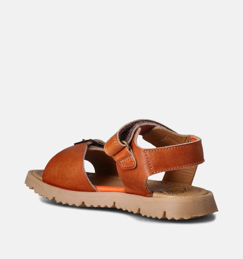 STONES and STONES Cognac Sandalen voor jongens (366243)