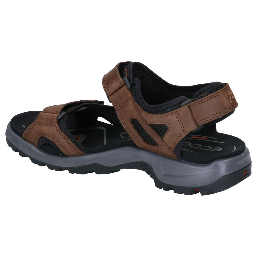 ECCO Offroad Zwarte Sandalen in nubuck (306677)