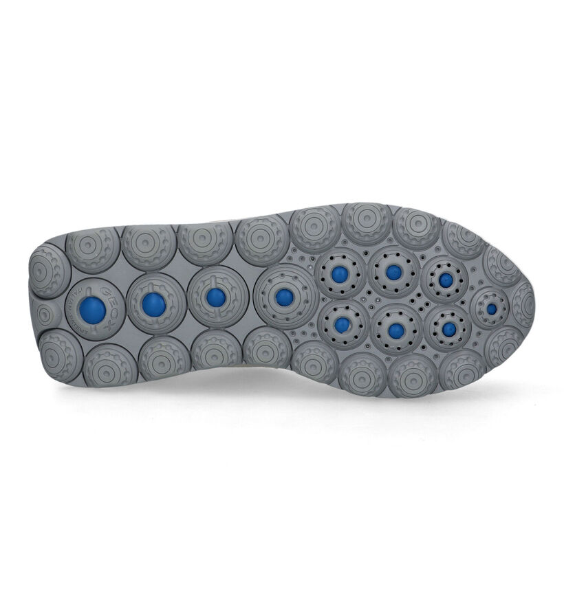 Geox Spherica Vseries Baskets en Gris en daim (326648)