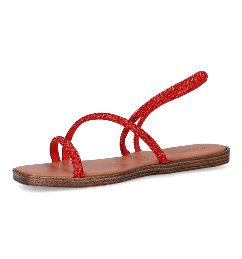 Hampton Bays Oranje Sandalen voor dames (324192)