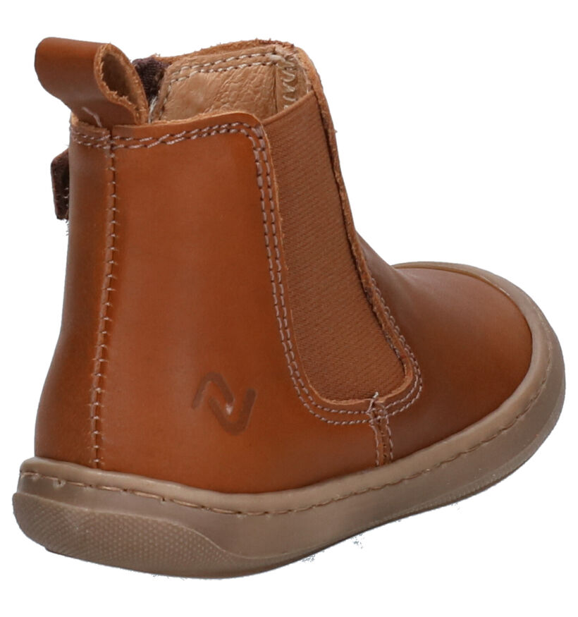 Lunella Cognac Hoge Schoenen in leer (253916)