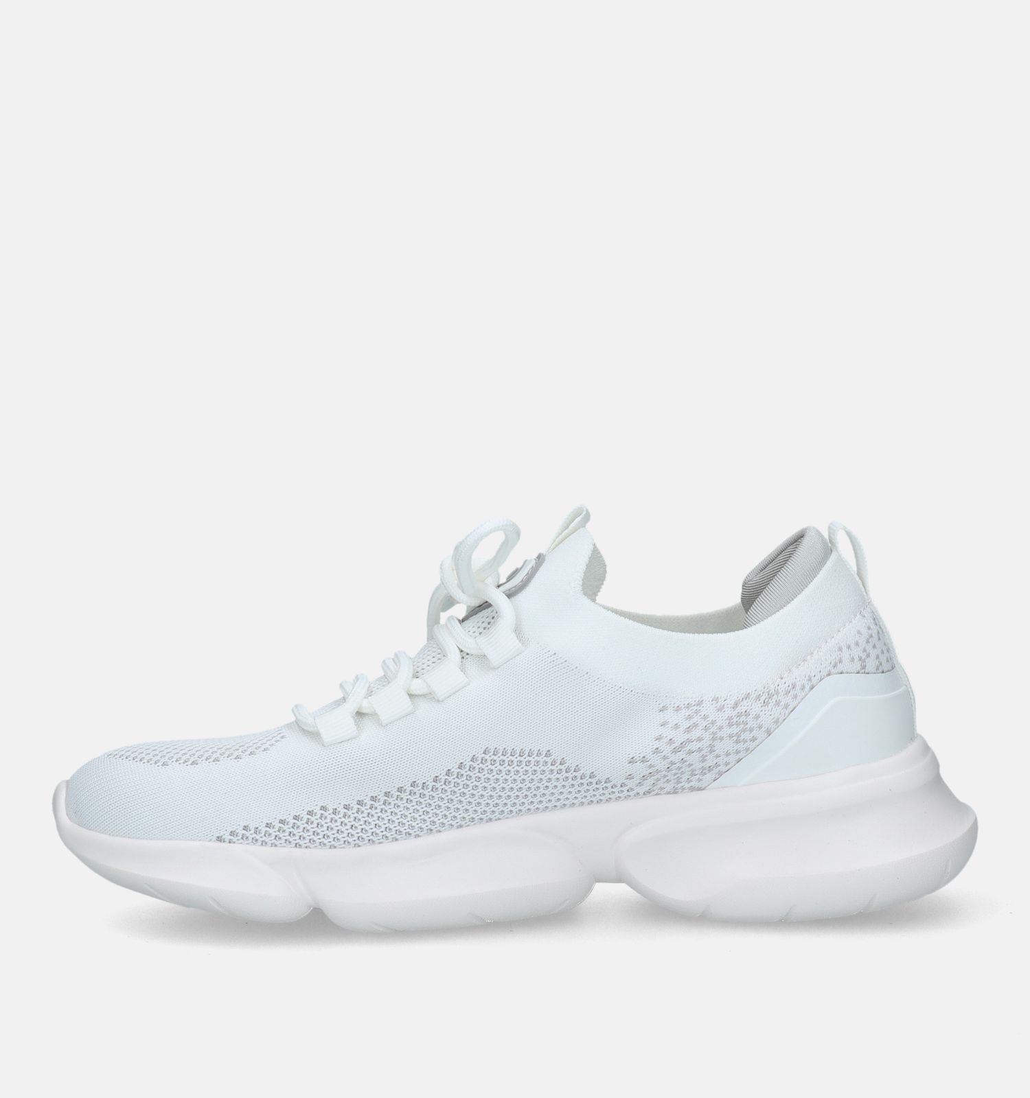 Scholl Camden Baskets en Blanc Femmes Baskets en ligne sur