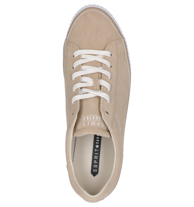 Esprit Chaussures à lacets en Beige foncé en simili cuir (276793)