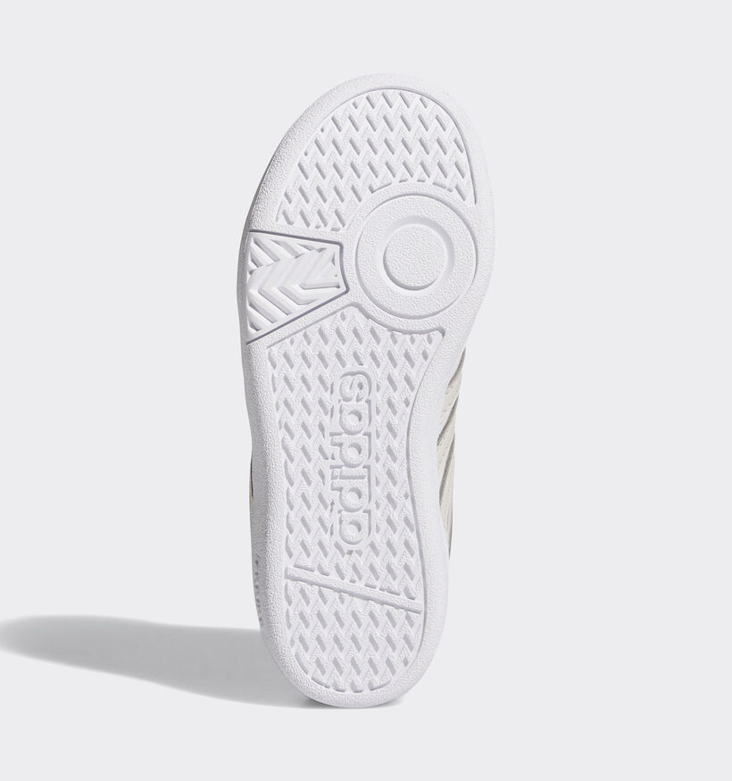 Hoops Baskets basses en Blanc pour garçons, filles (362465)