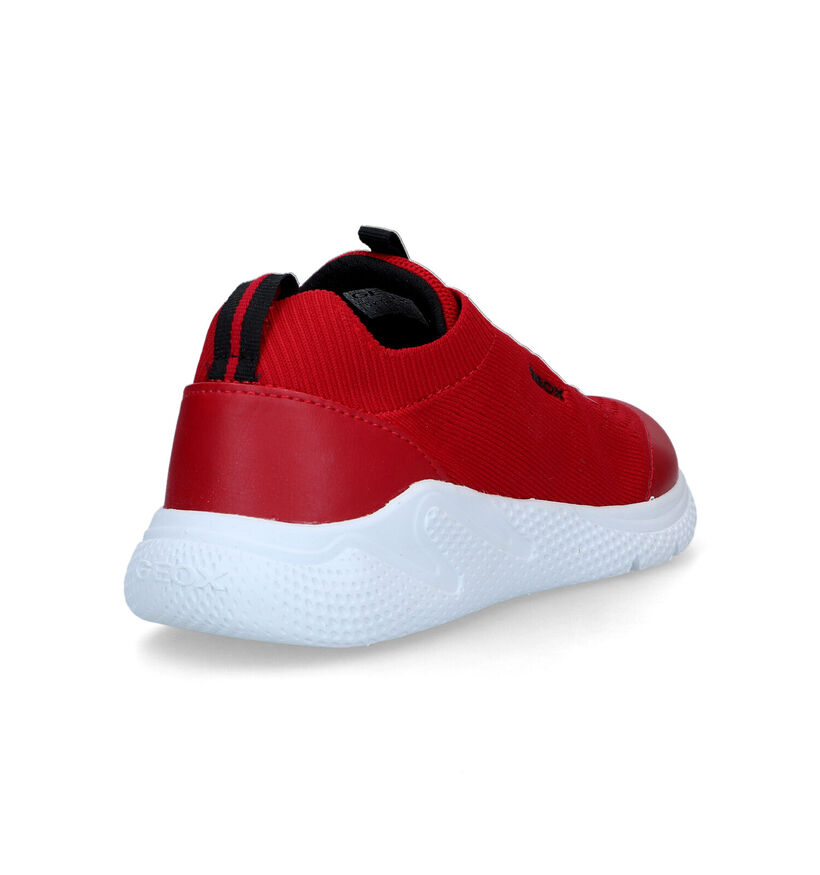 Geox Sprintye Blauwe Sneakers voor jongens (339641)