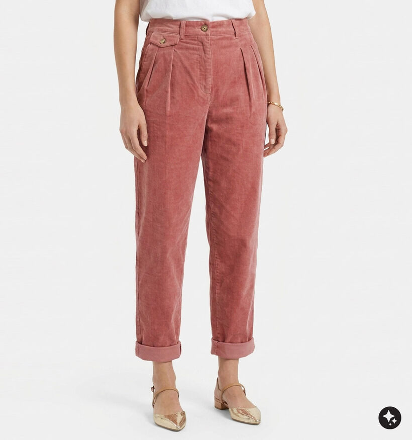 Orfeo Nora Pantalon classique en Rose pour femmes (381631)
