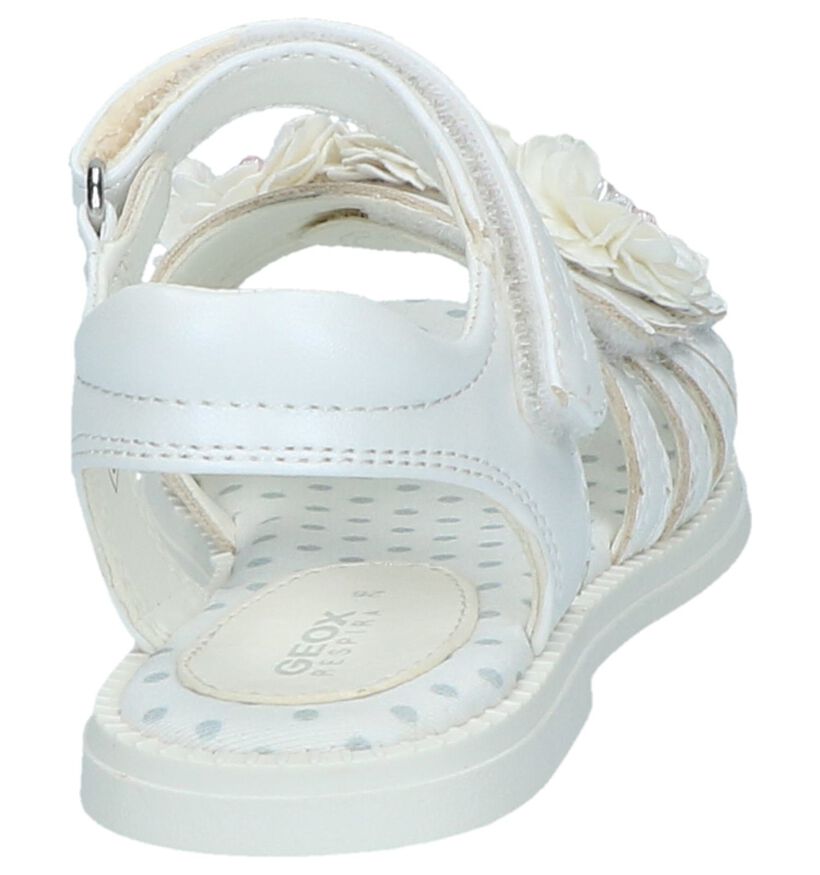 Geox Sandales en Blanc en simili cuir (244989)