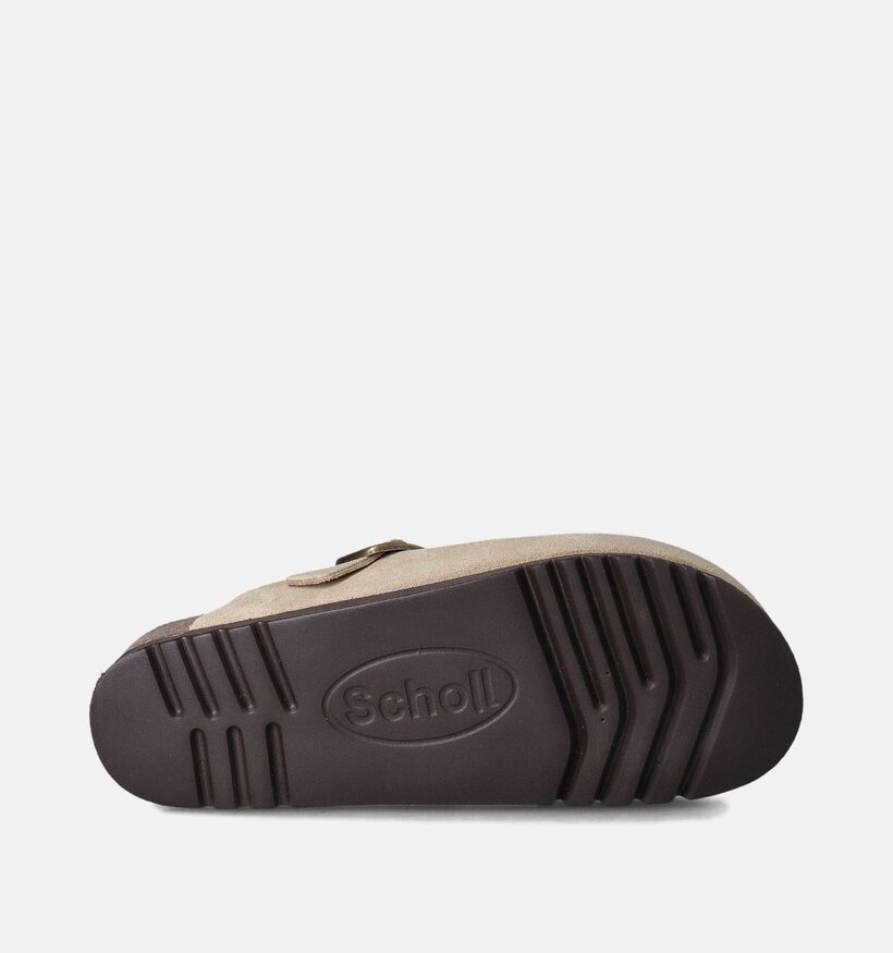Scholl Fae Beige Slippers voor dames (357569)