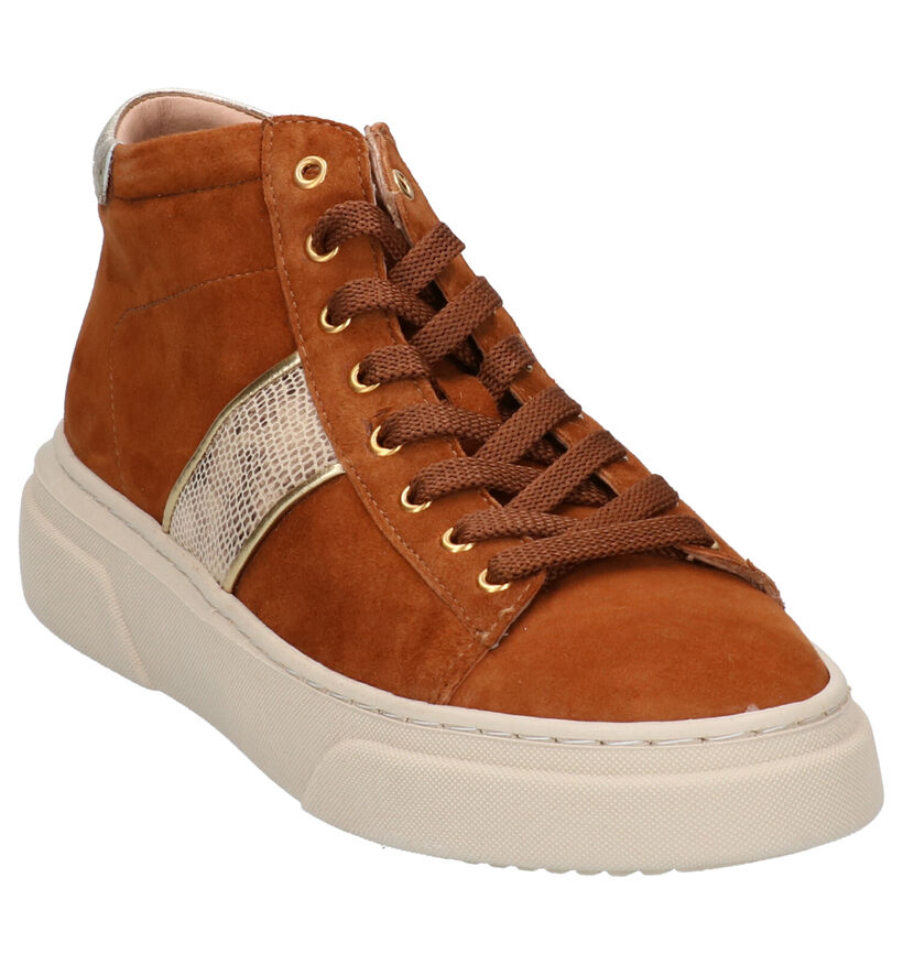 River Woods Baskets montantes en Cognac en nubuck (260280)