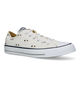 Convers Chuck Taylor All Star Baskets en Écru pour femmes (325480)