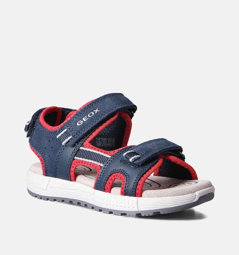Geox Alben Sandales en Bleu pour garçons (356375)