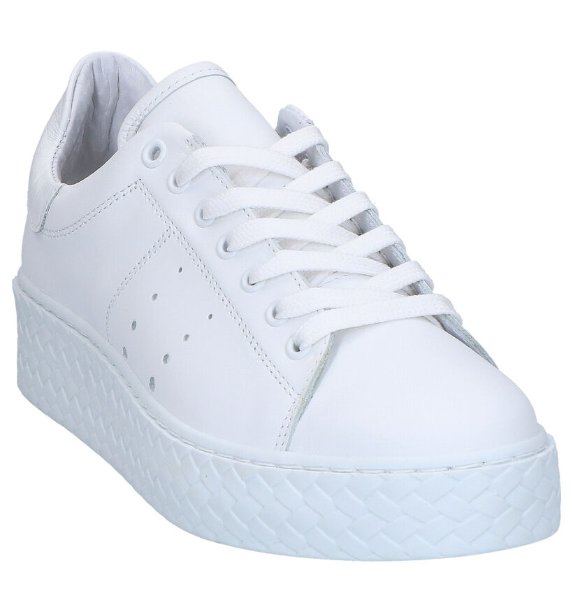 Tango Bibi Witte Sneakers in leer (273018)