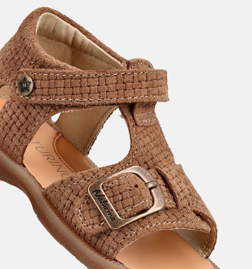 Naturino Quarzo Sandales pour b&eacute;b&eacute; en Cognac pour filles, gar&ccedil;ons (371617)