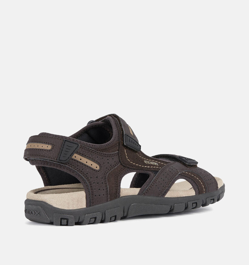 Geox Uomo Bruine Wandelsandalen voor heren (351633)