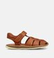 Camper Sandales en Marron pour filles, gar&ccedil;ons (370711)