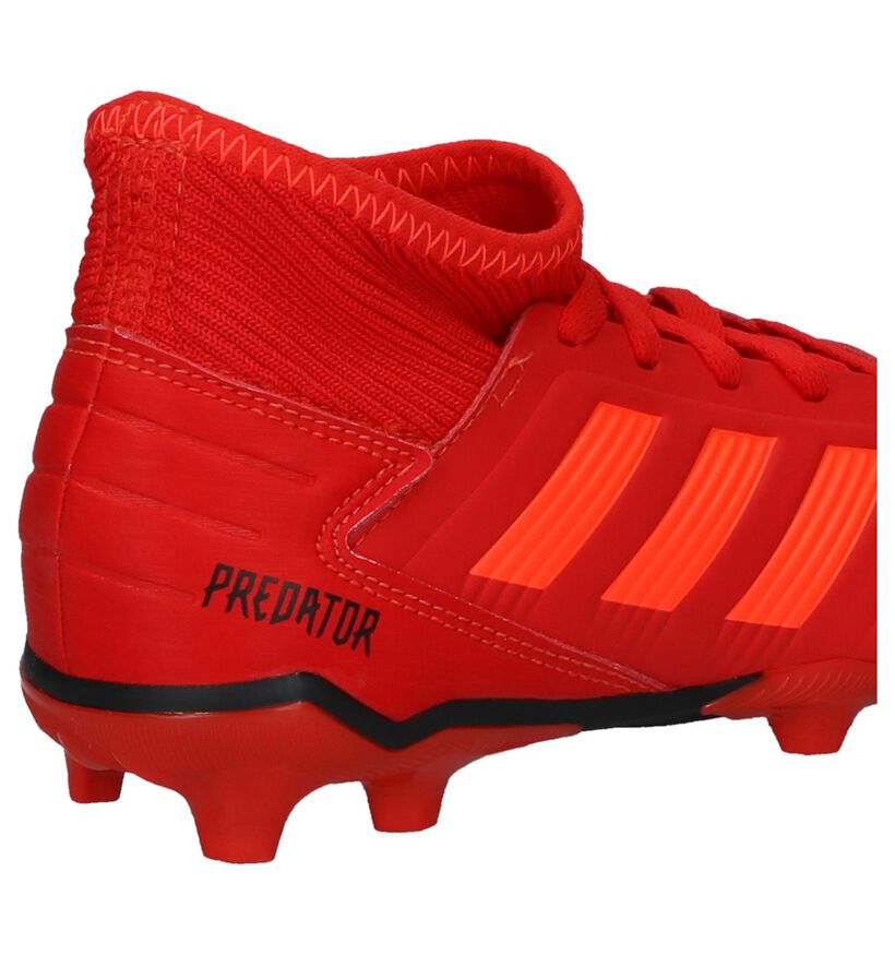 Rode Voetbalschoenen adidas Predator 19.3 FG J, Rood, pdp