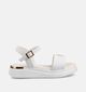 Tommy Hilfiger Sandales en Blanc pour filles (368691)