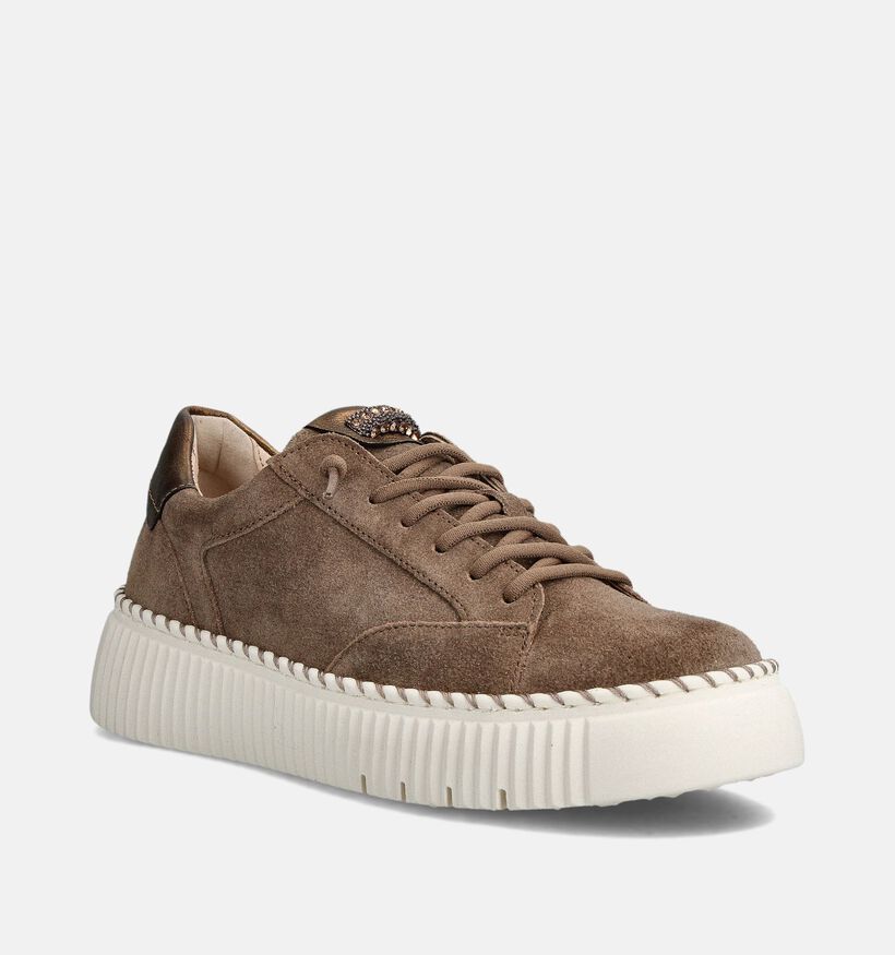 Gabor Bruine Veterschoenen voor dames (363116) - geschikt voor steunzolen