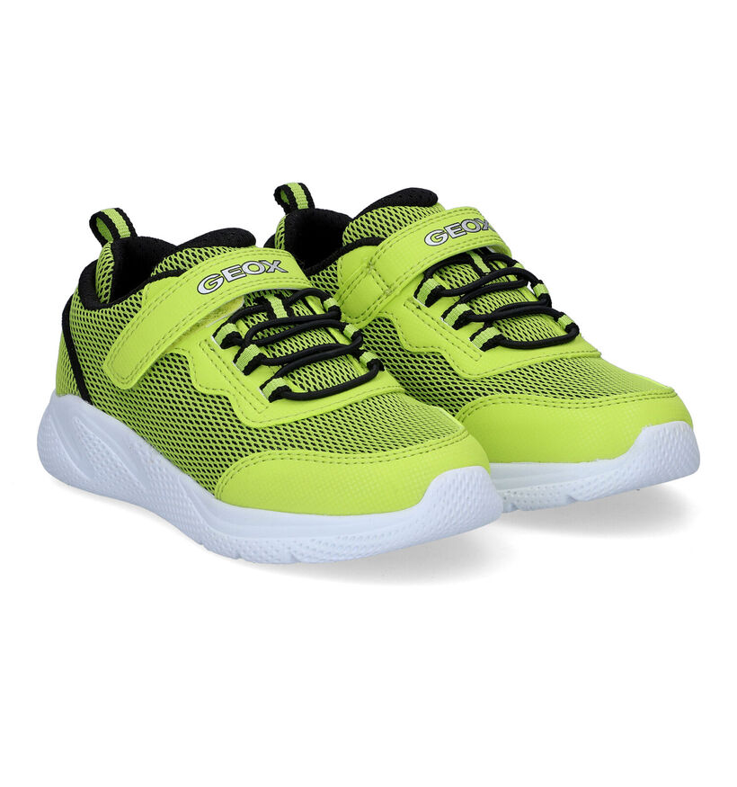 Geox Sprintye Baskets en Vert en simili cuir (311046)