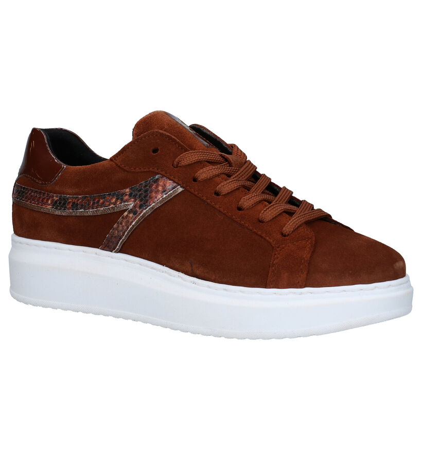 Tamaris TOUCH it Baskets en Brun en nubuck (280772)