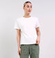 JDY Gaisa T-shirt en Blanc pour femmes (375086)